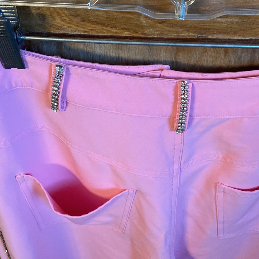 LPA/Revolve Rhinestone Trim Pants - Picture 3 of 6
